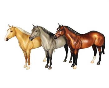 AQHA 75th Edition Bay