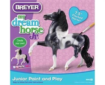 Junior Paint and Play