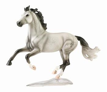 Ideal -Oldenburg Stallion