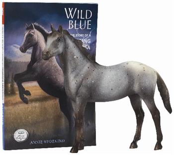 Wild Blue Book and Mustang model set