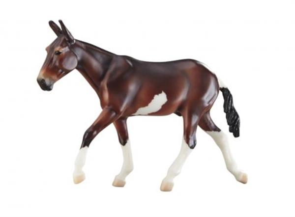 Jubilation Bay Pinto Mule