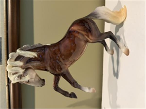 Glossy Finish Carmen