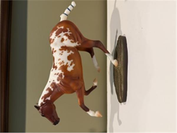 Buenos Aires Paint Polo Pony Special