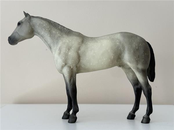 Grey Badger