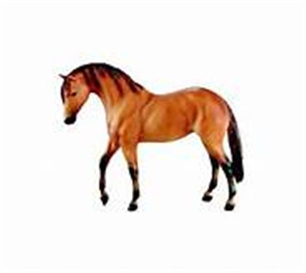 General Stonewall Jackson's Little Sorrel