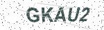 Security code image