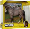 Brookside Pink Magnum - Welsh Pony