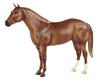AQHA 75th Anniversary Edition