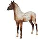 Breyer Foal Rocky