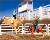 Collectibulls Rodeo Breyer Stablemate set