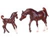 Chestnut Arabian Horse & Foal