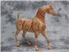 Arabian Horse Pharaoh