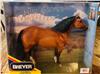 Rimrock The Horse whisperer
