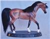 Arabian Best in Show