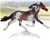 Constantia Standardbred Premier Collection