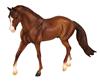 Chestnut Quarter Horse