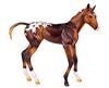 Espresso  Springtime Filly