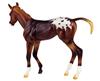 Espresso  Springtime Filly