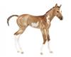 Camilla-Springtime Filly