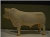 Charolais Bull