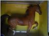 Breyerfest Rejoice signed