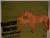 Rosie and Bailey Red Roan Quarter Horse