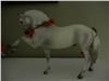 Robert Vavra's Majestad Andalusian