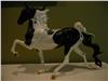 Breyer Stagecoach Surprise Black Pinto Glossy