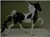 Breyer Stagecoach Surprise Black Pinto Glossy