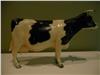 Holstein Cow Vintage