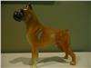 Vintage Boxer Dog