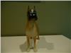 Vintage Boxer Dog