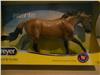 Merle Quarter Horse Special Run