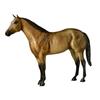 Pretty Buck AQHA Breyer