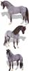 Brookside Pink Magnum - Welsh Pony