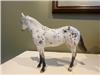 Peter Stone Appaloosa