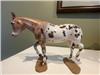 Custom Walking Mule Appaloosa