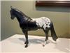 Peter Stone Black Appaloosa