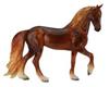 Juriaan Friesian Stallion