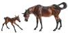 Mariposa and Flor Arabian Mare and foal