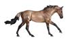 Merle Quarter Horse Special Run