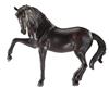 Stablemates Andalusian