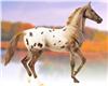 Glossy Appaloosa Sassy