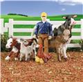 Breyer Stablemates & Mini Winnies