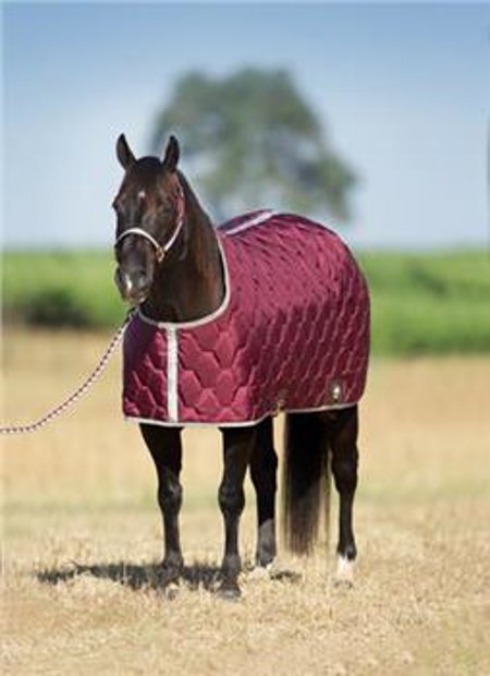 All American Horse Blanket