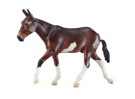 Jubilation Bay Pinto Mule