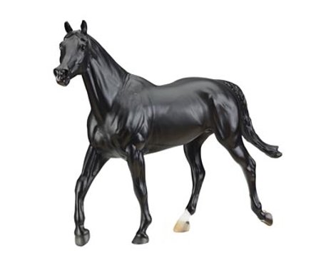 Cortes C - Show Jumper