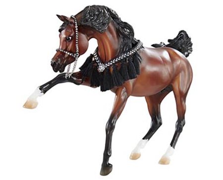 Empres Arabian stallion