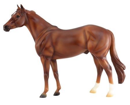 American Quarter Horse Ideal series