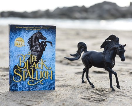 THE BLACK STALLION HORSE & BOOK SET